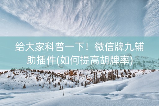给大家科普一下！微信牌九辅助插件(如何提高胡牌率)