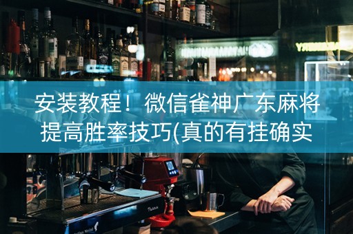 安装教程！微信雀神广东麻将提高胜率技巧(真的有挂确实有挂)