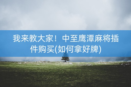 我来教大家！中至鹰潭麻将插件购买(如何拿好牌)