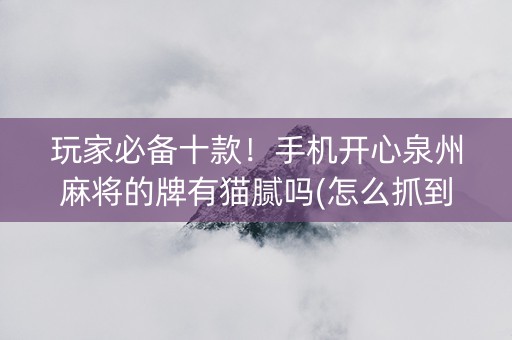 玩家必备十款！手机开心泉州麻将的牌有猫腻吗(怎么抓到好牌)