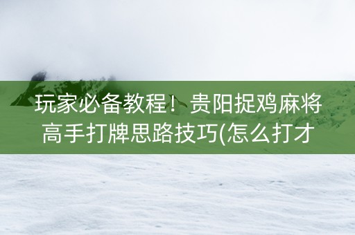 玩家必备教程！贵阳捉鸡麻将高手打牌思路技巧(怎么打才能赢)