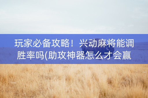 玩家必备攻略！兴动麻将能调胜率吗(助攻神器怎么才会赢)