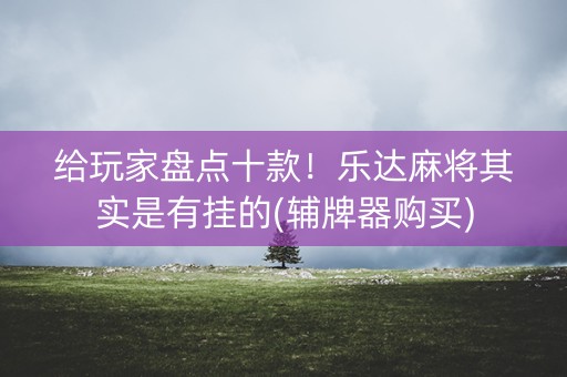 给玩家盘点十款！乐达麻将其实是有挂的(辅牌器购买)