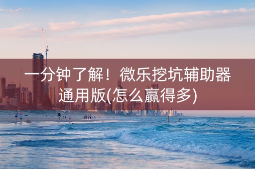 一分钟了解！微乐挖坑辅助器通用版(怎么赢得多)