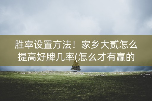 胜率设置方法！家乡大贰怎么提高好牌几率(怎么才有赢的几率)
