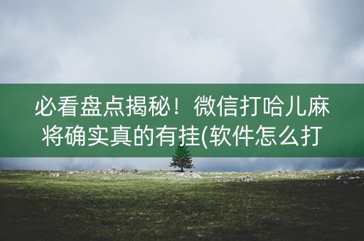 必看盘点揭秘！微信打哈儿麻将确实真的有挂(软件怎么打赢)