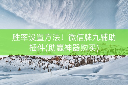 胜率设置方法！微信牌九辅助插件(助赢神器购买)