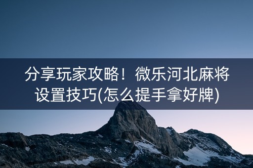 分享玩家攻略！微乐河北麻将设置技巧(怎么提手拿好牌)