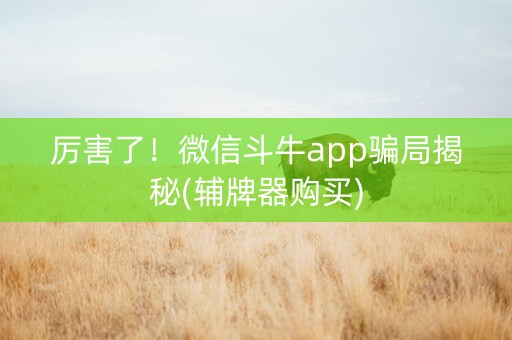 厉害了！微信斗牛app骗局揭秘(辅牌器购买)