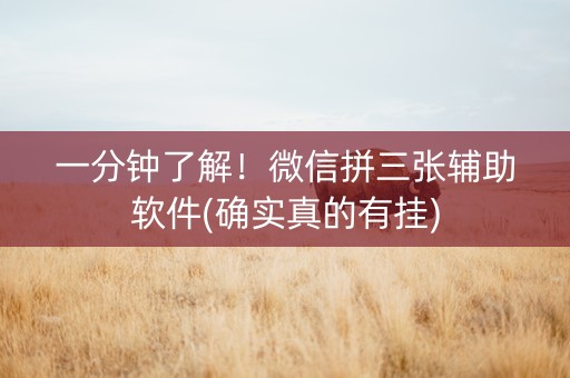 一分钟了解！微信拼三张辅助软件(确实真的有挂)