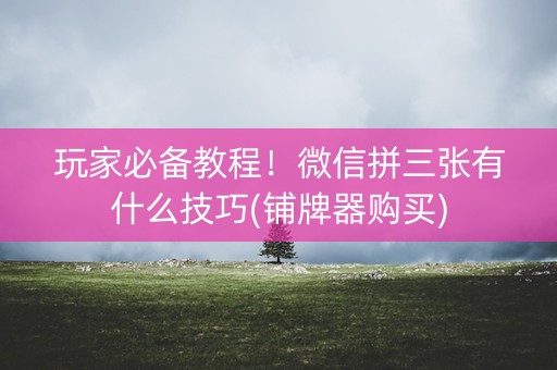 玩家必备教程！微信拼三张有什么技巧(铺牌器购买)