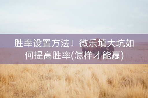 胜率设置方法！微乐填大坑如何提高胜率(怎样才能赢)