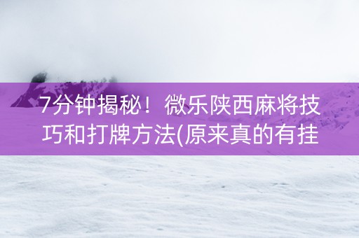 7分钟揭秘！微乐陕西麻将技巧和打牌方法(原来真的有挂)