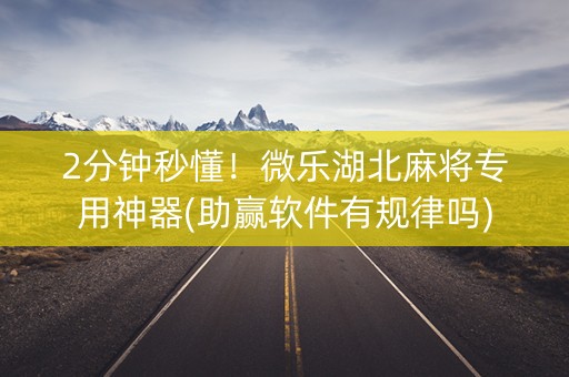 2分钟秒懂！微乐湖北麻将专用神器(助赢软件有规律吗)