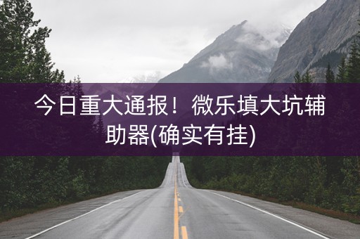 今日重大通报！微乐填大坑辅助器(确实有挂)