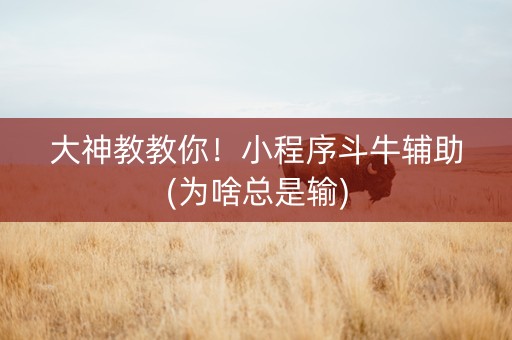 大神教教你！小程序斗牛辅助(为啥总是输)