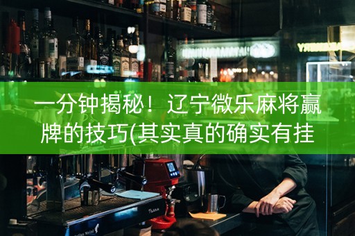 一分钟揭秘！辽宁微乐麻将赢牌的技巧(其实真的确实有挂)
