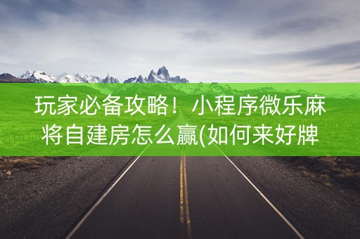 玩家必备攻略！小程序微乐麻将自建房怎么赢(如何来好牌)