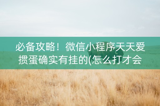 必备攻略！微信小程序天天爱掼蛋确实有挂的(怎么打才会赢)