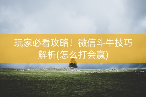 玩家必看攻略！微信斗牛技巧解析(怎么打会赢)