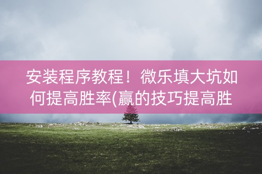 安装程序教程！微乐填大坑如何提高胜率(赢的技巧提高胜率)