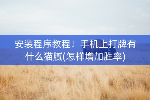 安装程序教程！手机上打牌有什么猫腻(怎样增加胜率)