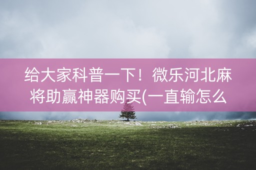 给大家科普一下！微乐河北麻将助赢神器购买(一直输怎么办)