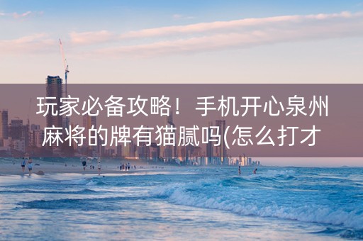 玩家必备攻略！手机开心泉州麻将的牌有猫腻吗(怎么打才会赢)