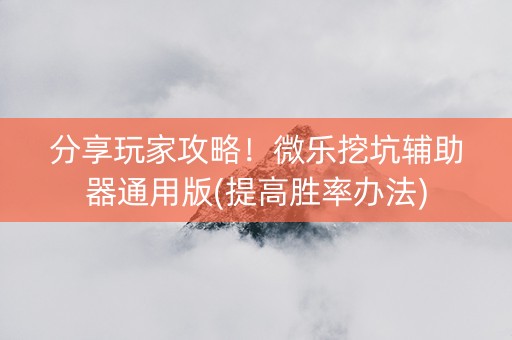 分享玩家攻略！微乐挖坑辅助器通用版(提高胜率办法)