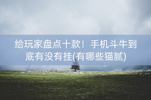 给玩家盘点十款！手机斗牛到底有没有挂(有哪些猫腻)