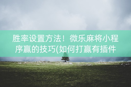 胜率设置方法！微乐麻将小程序赢的技巧(如何打赢有插件吗)