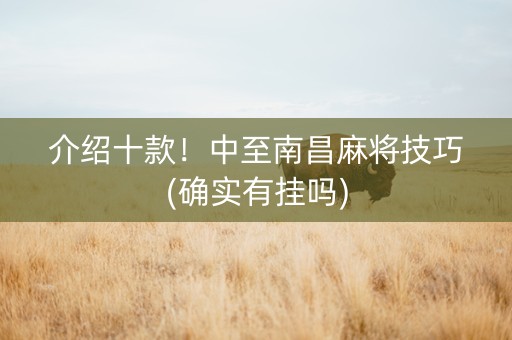 介绍十款！中至南昌麻将技巧(确实有挂吗)