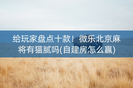 给玩家盘点十款！微乐北京麻将有猫腻吗(自建房怎么赢)