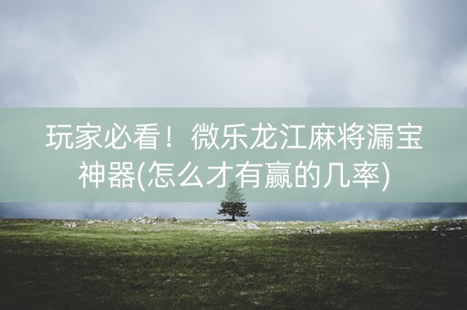 玩家必看！微乐龙江麻将漏宝神器(怎么才有赢的几率)