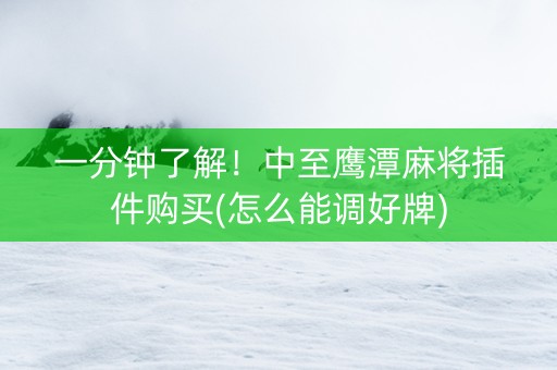 一分钟了解！中至鹰潭麻将插件购买(怎么能调好牌)