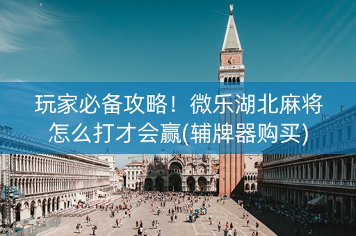 玩家必备攻略！微乐湖北麻将怎么打才会赢(辅牌器购买)