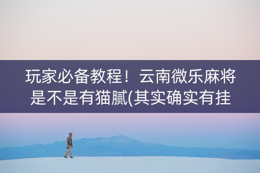 玩家必备教程！云南微乐麻将是不是有猫腻(其实确实有挂)