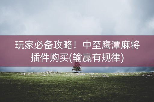 玩家必备攻略！中至鹰潭麻将插件购买(输赢有规律)