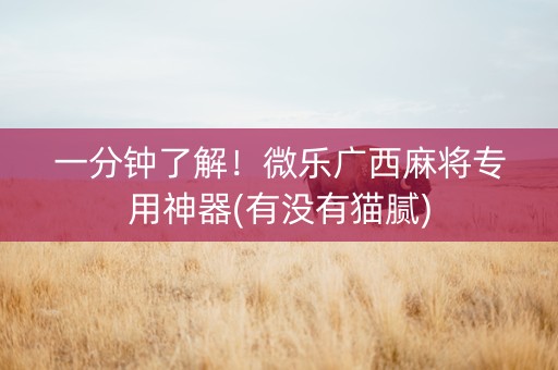 一分钟了解！微乐广西麻将专用神器(有没有猫腻)