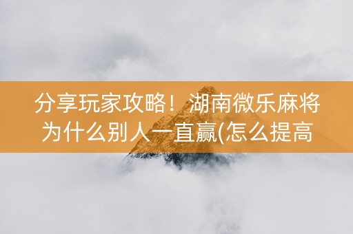 分享玩家攻略！湖南微乐麻将为什么别人一直赢(怎么提高好牌几率)