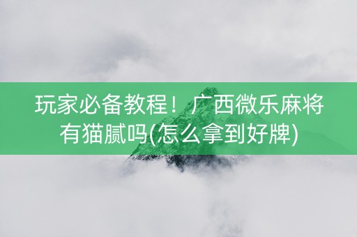 玩家必备教程！广西微乐麻将有猫腻吗(怎么拿到好牌)
