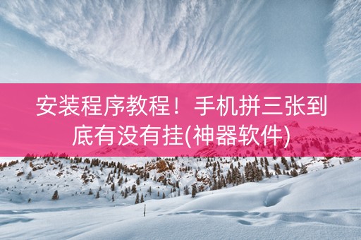 安装程序教程！手机拼三张到底有没有挂(神器软件)