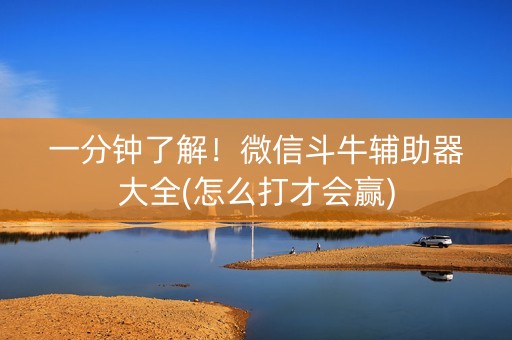 一分钟了解！微信斗牛辅助器大全(怎么打才会赢)