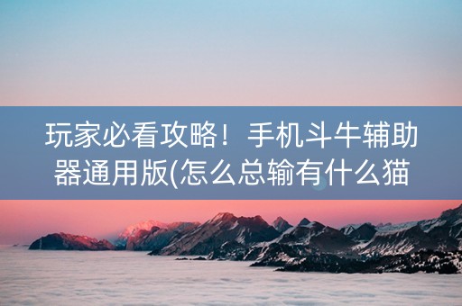 玩家必看攻略！手机斗牛辅助器通用版(怎么总输有什么猫腻)