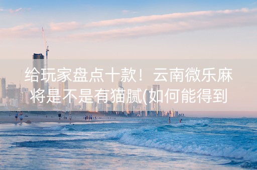 给玩家盘点十款！云南微乐麻将是不是有猫腻(如何能得到好牌)