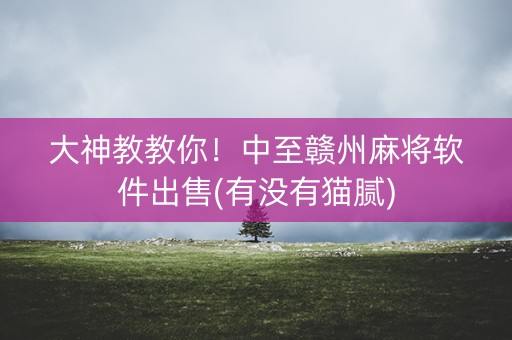 大神教教你！中至赣州麻将软件出售(有没有猫腻)