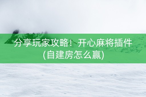 分享玩家攻略！开心麻将插件(自建房怎么赢)