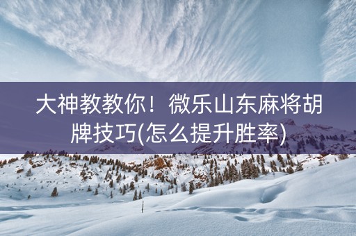 大神教教你！微乐山东麻将胡牌技巧(怎么提升胜率)