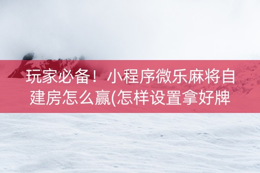 玩家必备！小程序微乐麻将自建房怎么赢(怎样设置拿好牌)