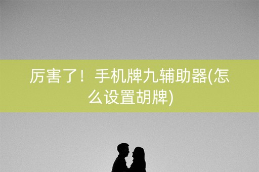 厉害了！手机牌九辅助器(怎么设置胡牌)